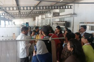 WhatsApp Image 2025-11-02 at 7.29.05 PM (2)